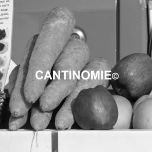 La Cantinomie