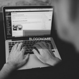 Blogonomie