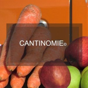 Cantinomie